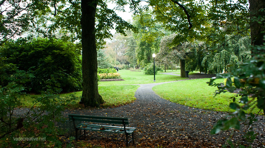 A park in the mist, Halifax, Nova Scotia