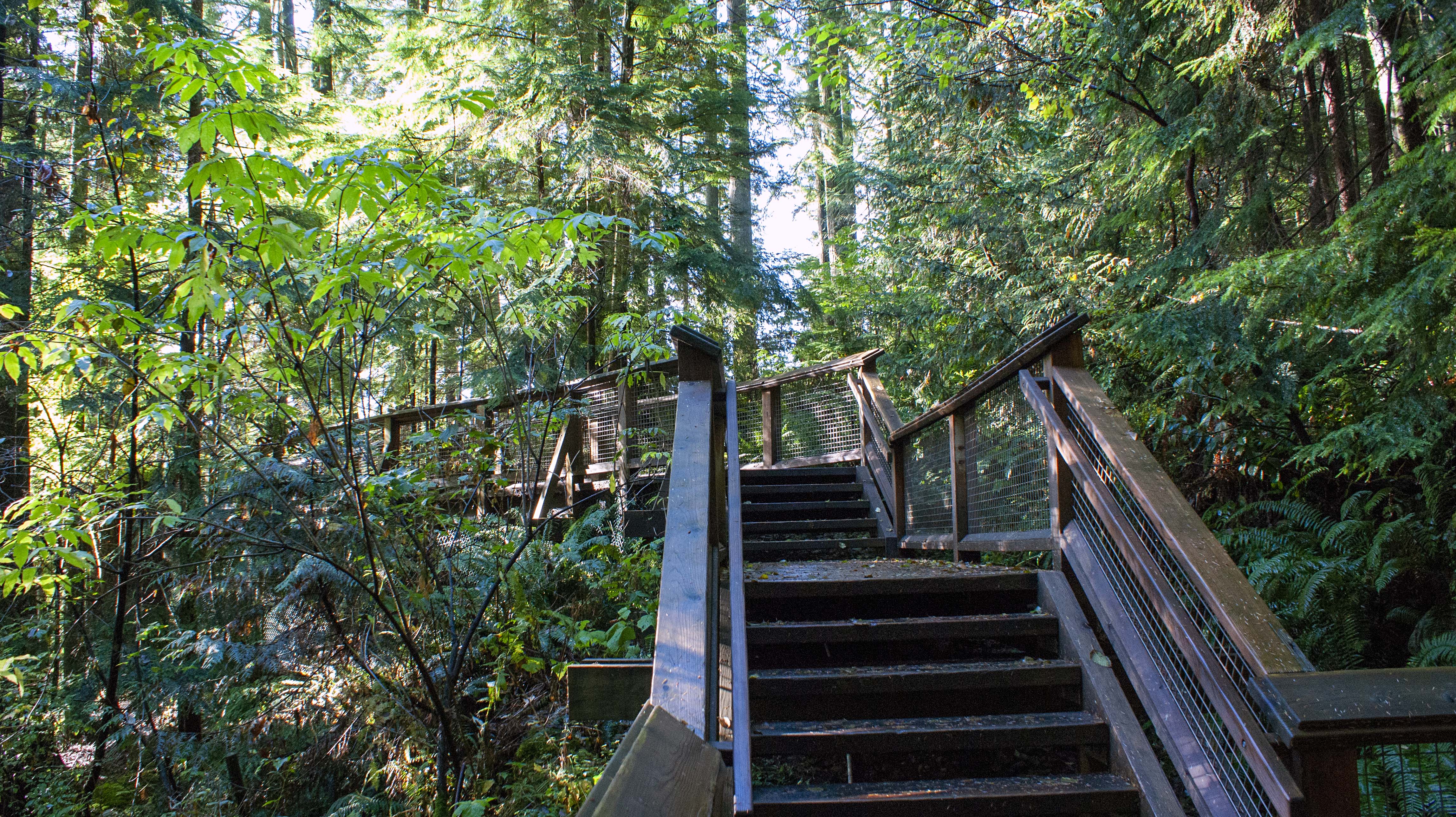 Capilano Suspension Bridge (Rainforest) Park, Vancouver