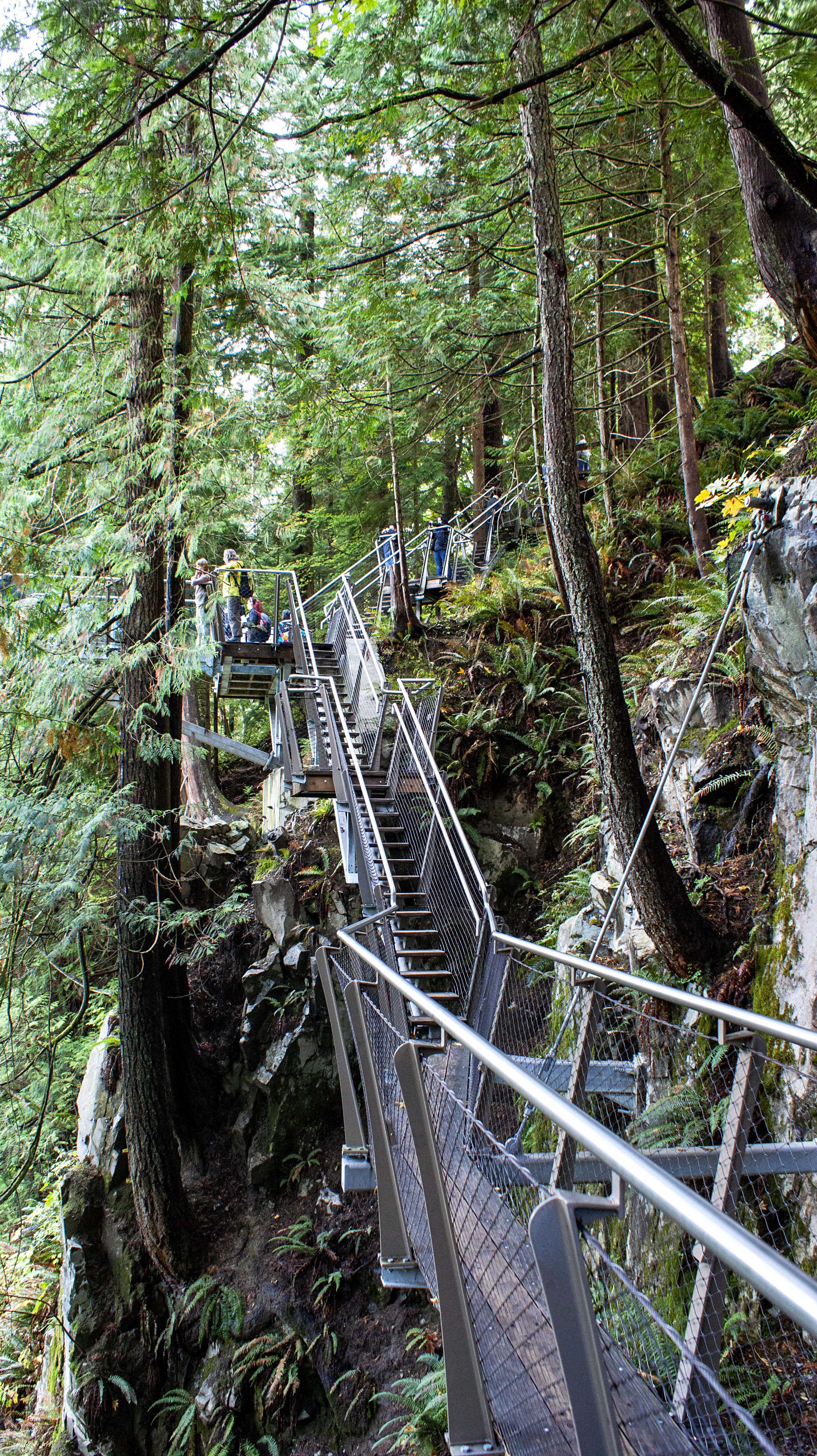 Capilano Suspension Bridge Park, Vancouver  <br />(Cliff Walk)