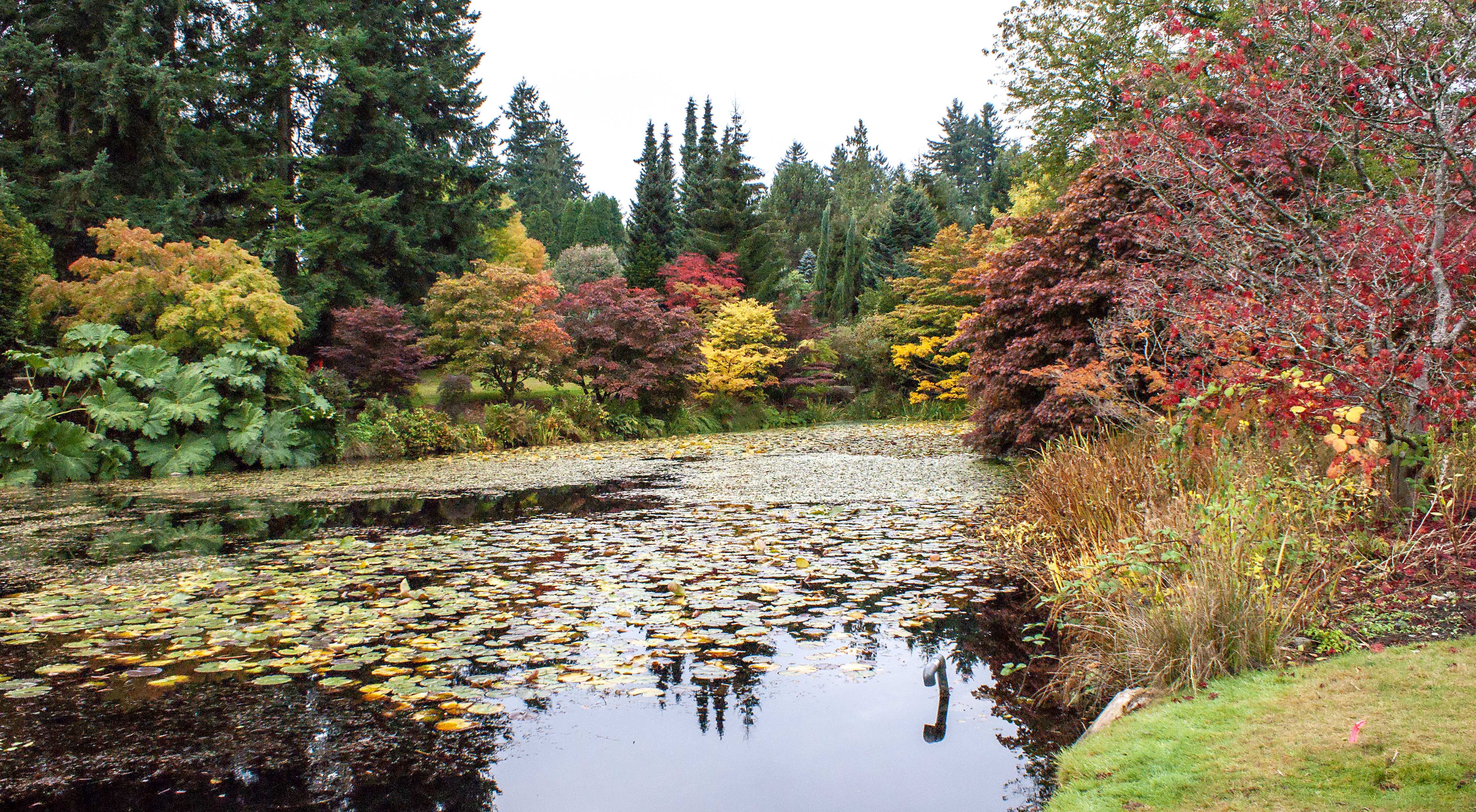 VanDusen Botanical Garden, Vancouver