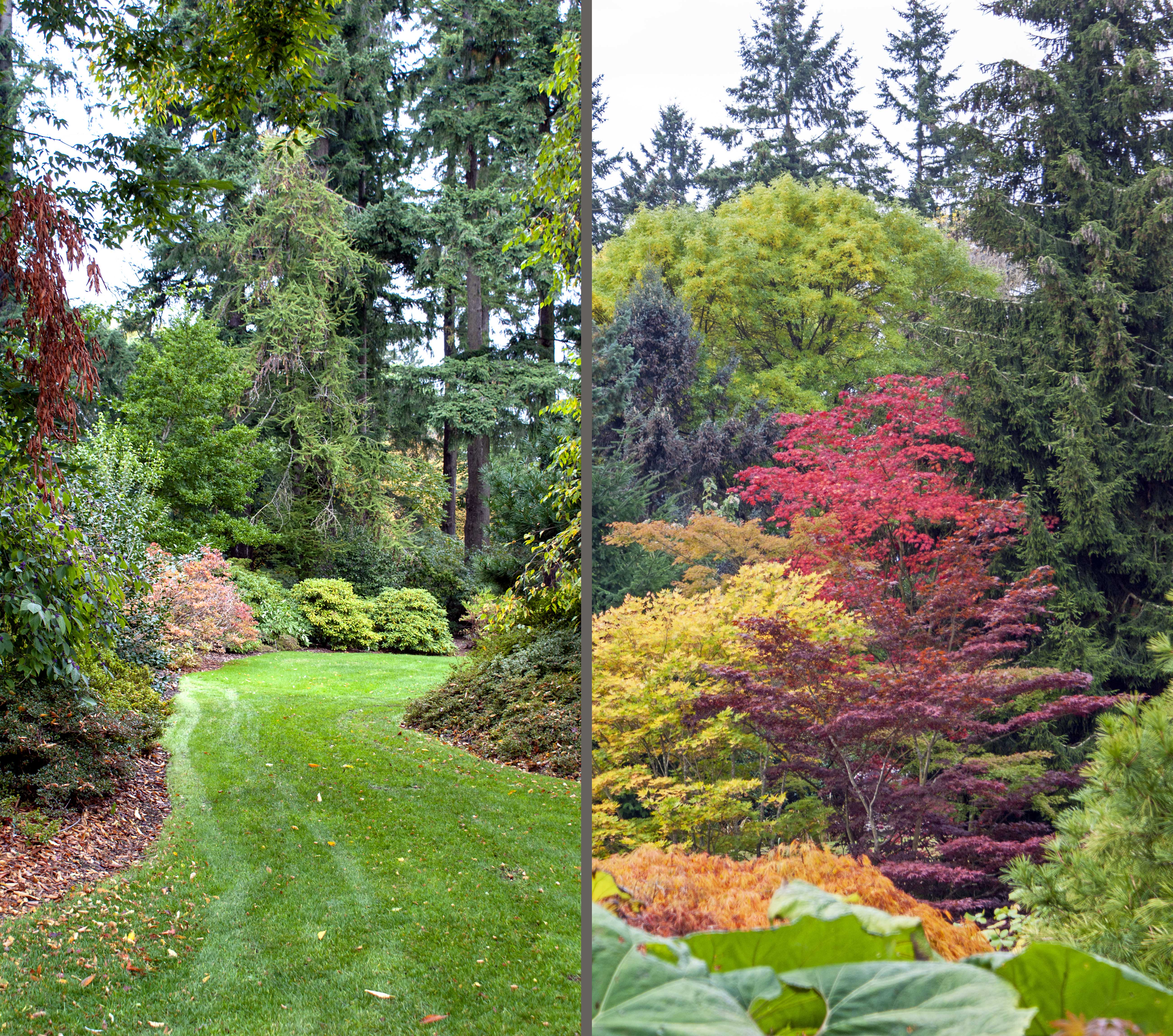 VanDusen Botanical Garden, Vancouver