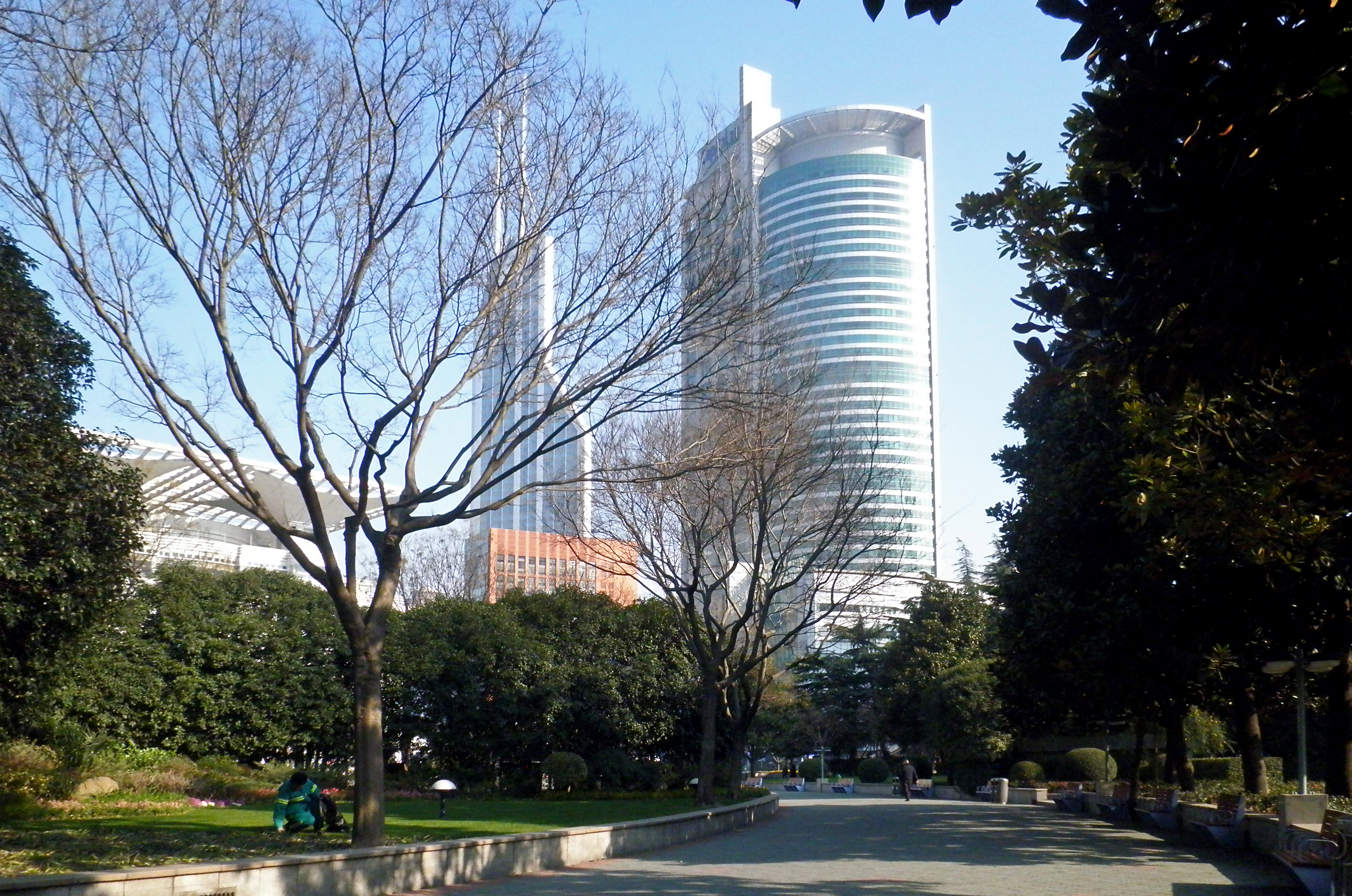 Shanghai Streetscape