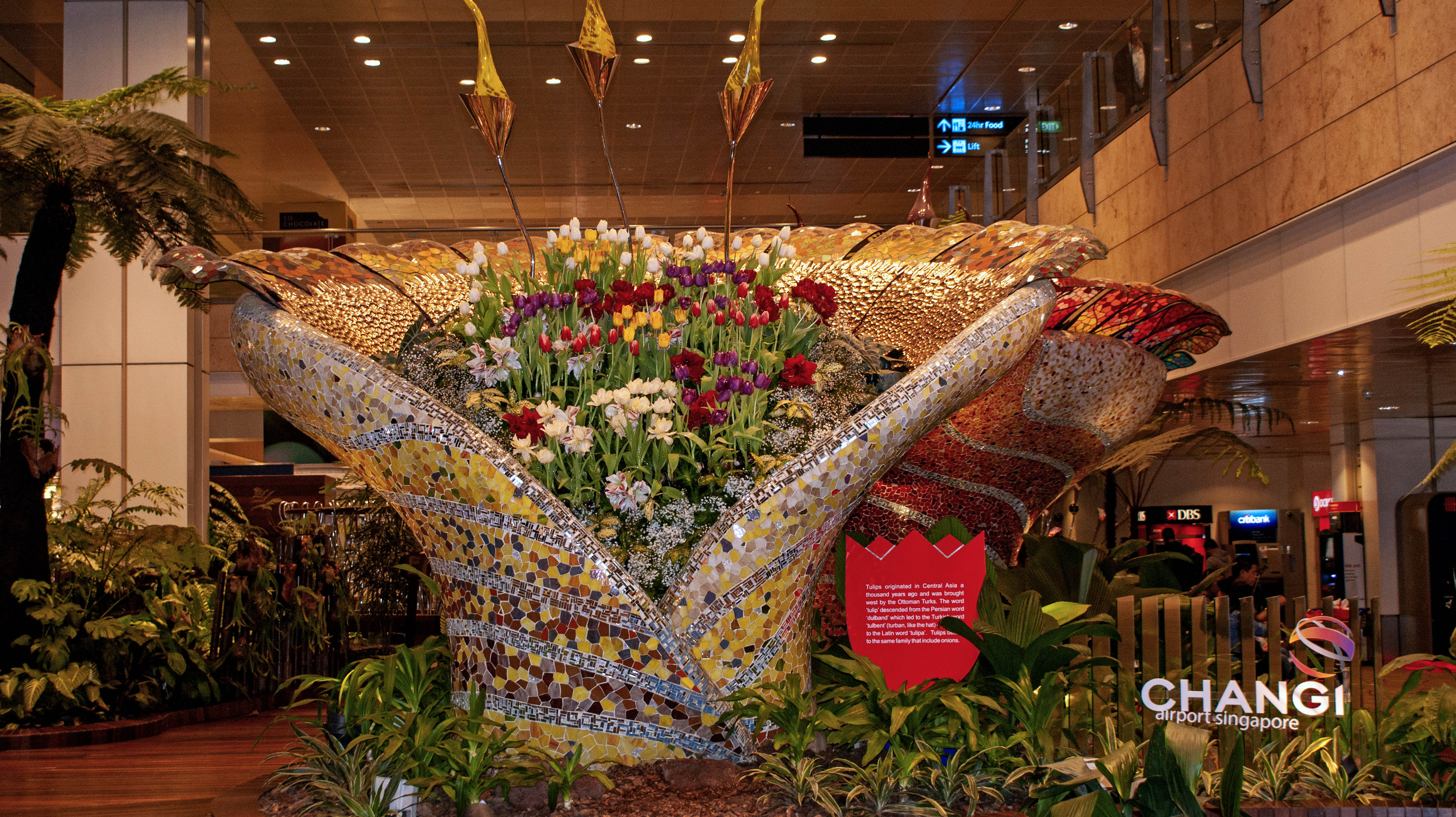 Orchid Display, Singapore Airport